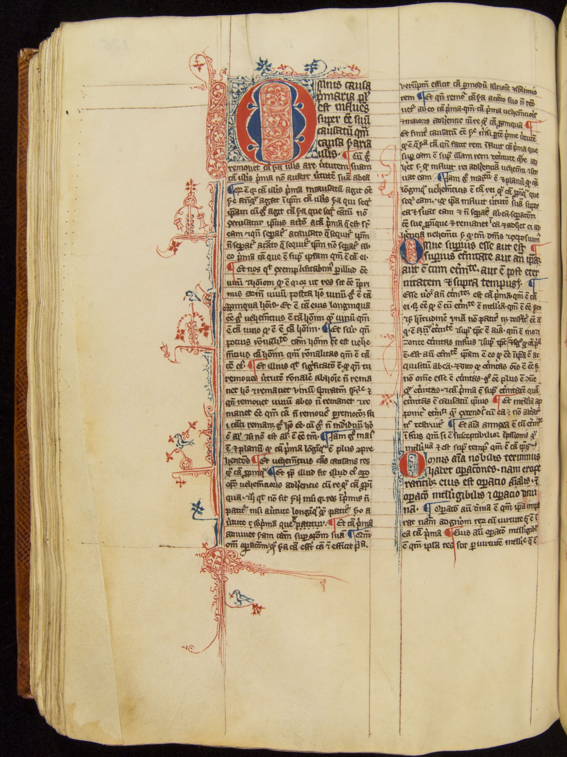 Left-hand page from a bound manuscript book with two columns of Latin text and visible guidelines. At the top of the left-hand column is a decorative capital. Parts of the text are decorated with a blue-and-red border.