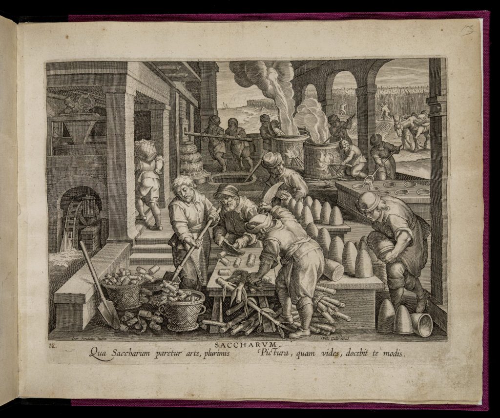 Etching of white men participating in the sugar refinement process, including chopping up sugar cane, melting it in vats, and removing finished sugar from drying containers.