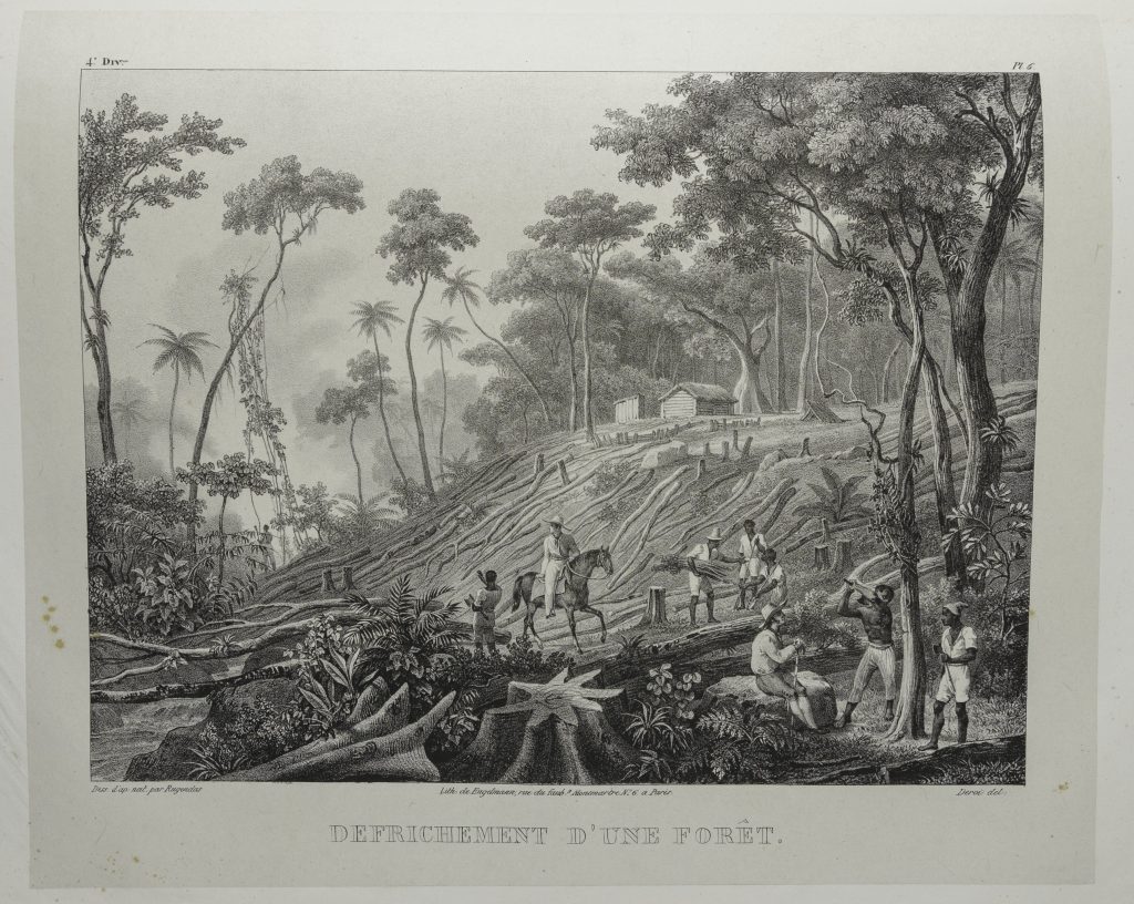 Engraving of a group of Black men cutting down down palm trees in a valley. At the center of the piece is a man on a horse. There are two small wooden buildings at the crest of the valley.