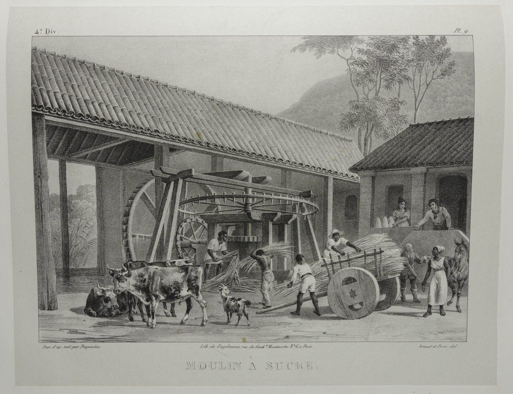 Black-and-white engraving of Black laborers moving sugarcane from a cart to a processing machine. They are working in a courtyward. On a porch on the right-hand side of the image, a white man and women watch the process. Two cows and a goat stand in the left-hand corner.
