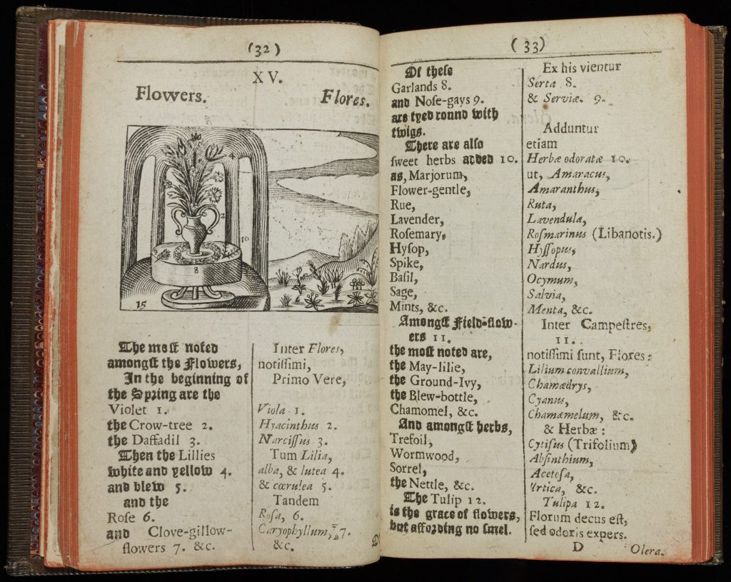 Two-page spread of an early printed book. Text is in English and Latin in black in an 17th-century font (some "s"s written as "f"s). On the right-hand page is a woodcut print image. Above the image is the tittle "Flowers. Flores." On the right, the image shows a vase of tall flowers sitting on a table in a pavilion. Cuts of other plants lay on the table. On the left is a hilly landscape dotted with plants. Different plants are numbered to correspond to the text below and to the left of the image. This text appears in English and in Latin. In English it reads, "The moft noted/amongft the flowers,/In the beginning of/the Spring are the/Violet 1./the Crow-tree 2./the Daffadil 3./Then the Lillies/white and yellow 4./and blew 5./and the/Rofe 6./and Clove-gillow-flowers 7. &c./Of thefe/Garlands 8./and Nofe-gays 9./are tyed round with/twigs/There are alfo/fweet herbs added 10./as, Marjorum,/Flower-gentle,/Rue,/Lavender,/Rofmary,/Hyfop,/Spike,/Bafil,/Sage,/Mints, &c./Amongft the field-flowers 11./the moft noted are,/the May-lilie,/the Ground-Ivy,/the Blew-bottle,/Chamomel, &c./And amongft herbs,/Trefoil,/Wormwood,/Sorrel,/the Nettle, &c./The Tulip 12./is the grace of flowers,/but affording no fmel."