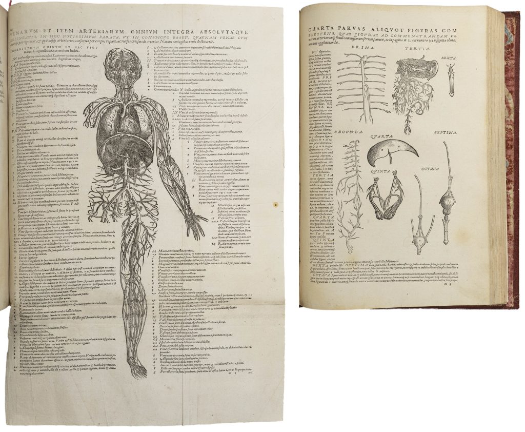 Two pages from a printed book. The left-hand page displays most of a human figure with major blood vessels and some internal organs. The page on the right has other important organs with descriptions, designed to be cut out and placed by the user on the human figure on the first page. Both pages include notes in Latin describing the organs and their functions.