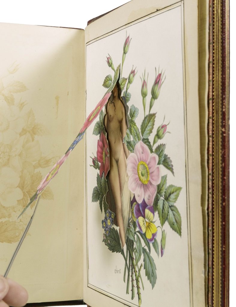 Image of a full-page illustration of a bouquet of flowers. Some of the flowers in the bouquet have been cut out to create a flap, which is held open to reveal a painting of a naked white woman underneath.