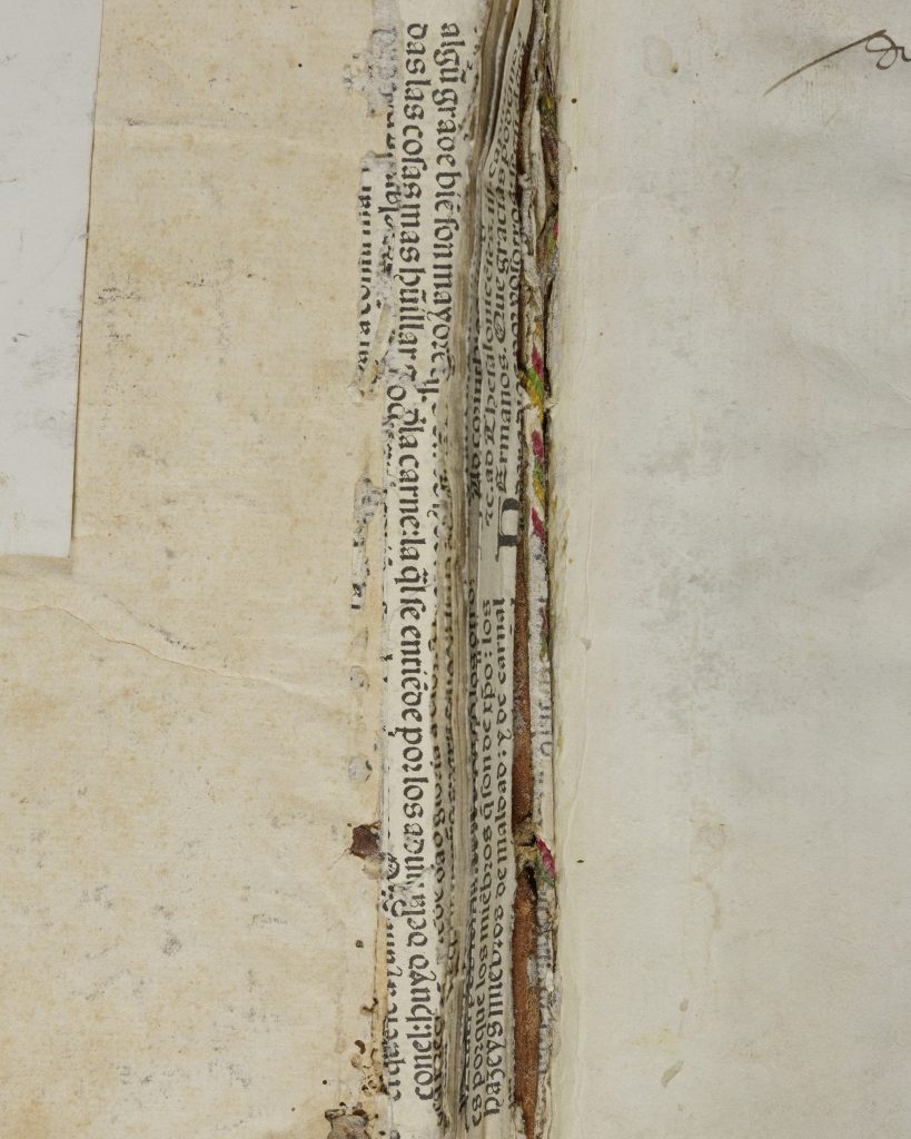Closeup of binding waste inside the broken spine of a manuscript book. The waste consists of scraps of manuscript in black gothic script.