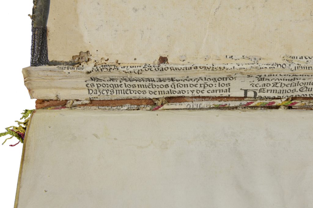 Closeup of binding waste inside the broken spine of a manuscript book. The waste consists of scraps of manuscript in black gothic script.