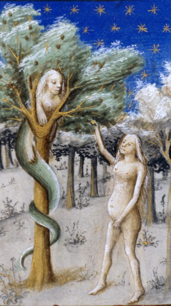 Detail of medieval manuscript. Painting depicting Eve talking to a creature in a tree that is a snake from the waist down and a woman from the waist up.
