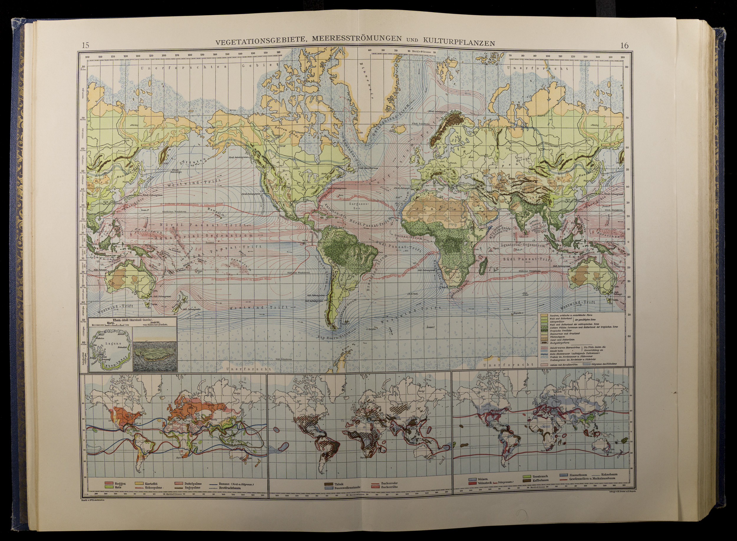 Wielobarwna mapa globu z trzema mniejszymi obrazami świata poniżej, przedstawiającymi globalne rozmieszczenie roślinności, roślin uprawnych i prądów oceanicznych.