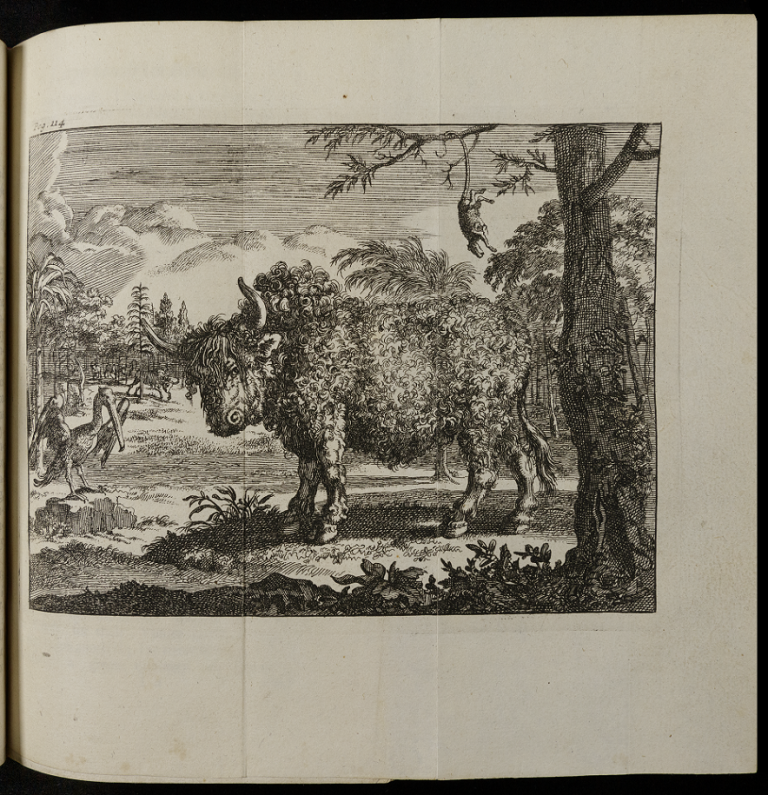 Engraved illustration of a bison standing in a wooded landscape with a stork or pelican and an opossum nearby.