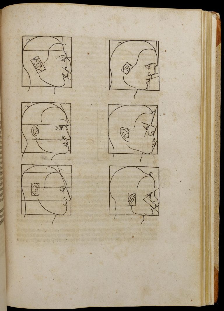 Page of book with diagrams of six human heads in profile. Each head has different shaped features and is in a box with lines and squares highlighting the angles and proportions of their different features.