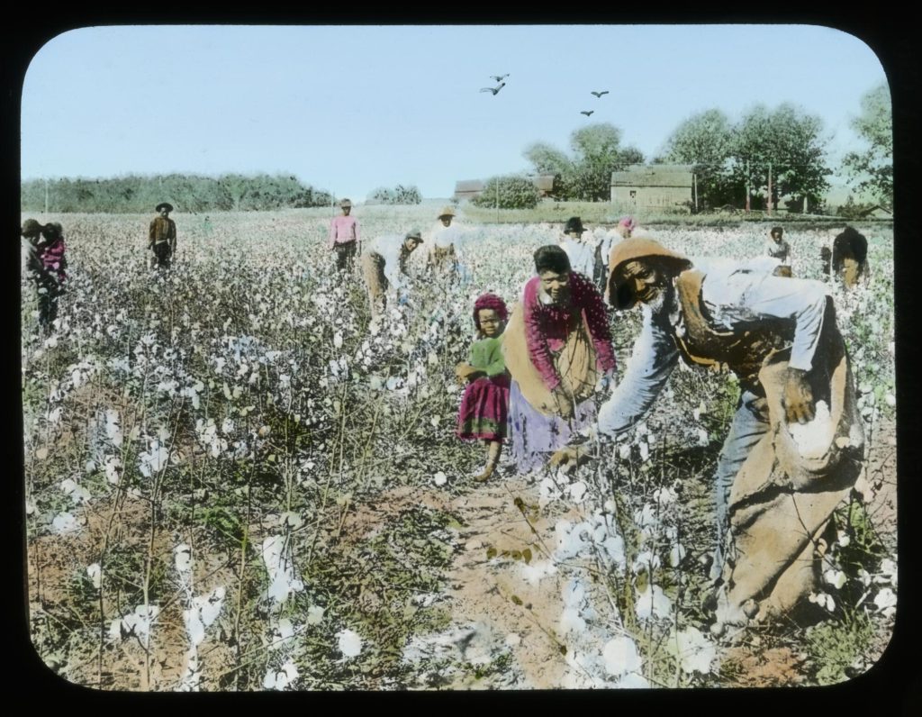 Hand-colored image of Black field workers picking cotton. In the foreground are an old man, an adult woman, and a young girl under five.