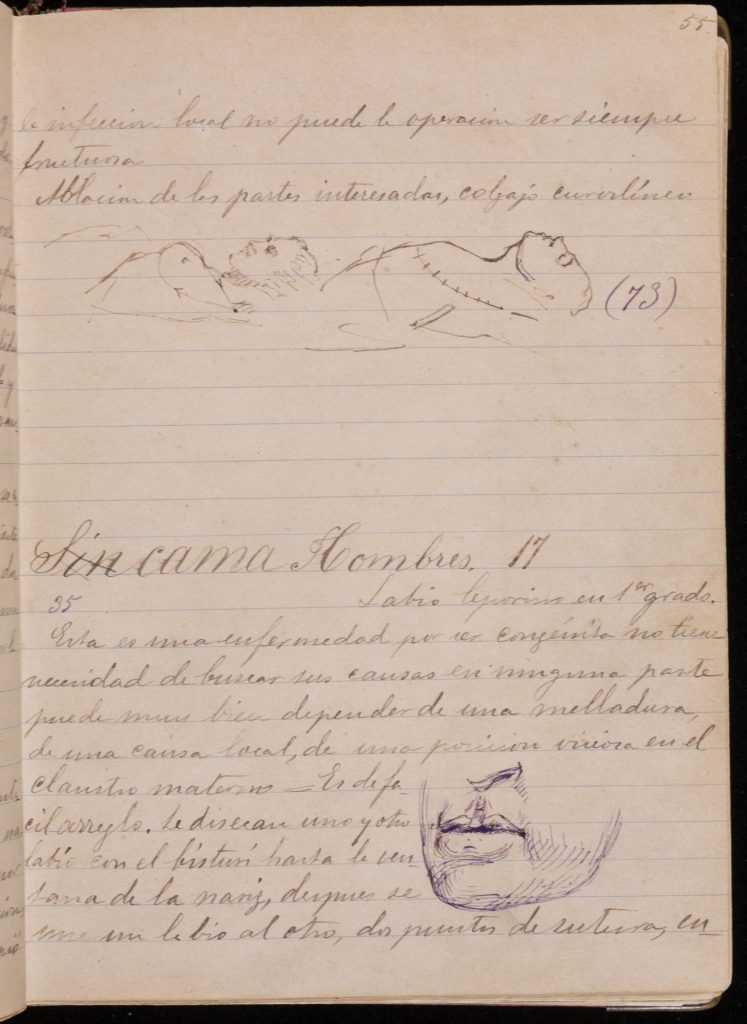 Single page of handwritten text in Spanish with hand-drawn illustrations of the human face and torso