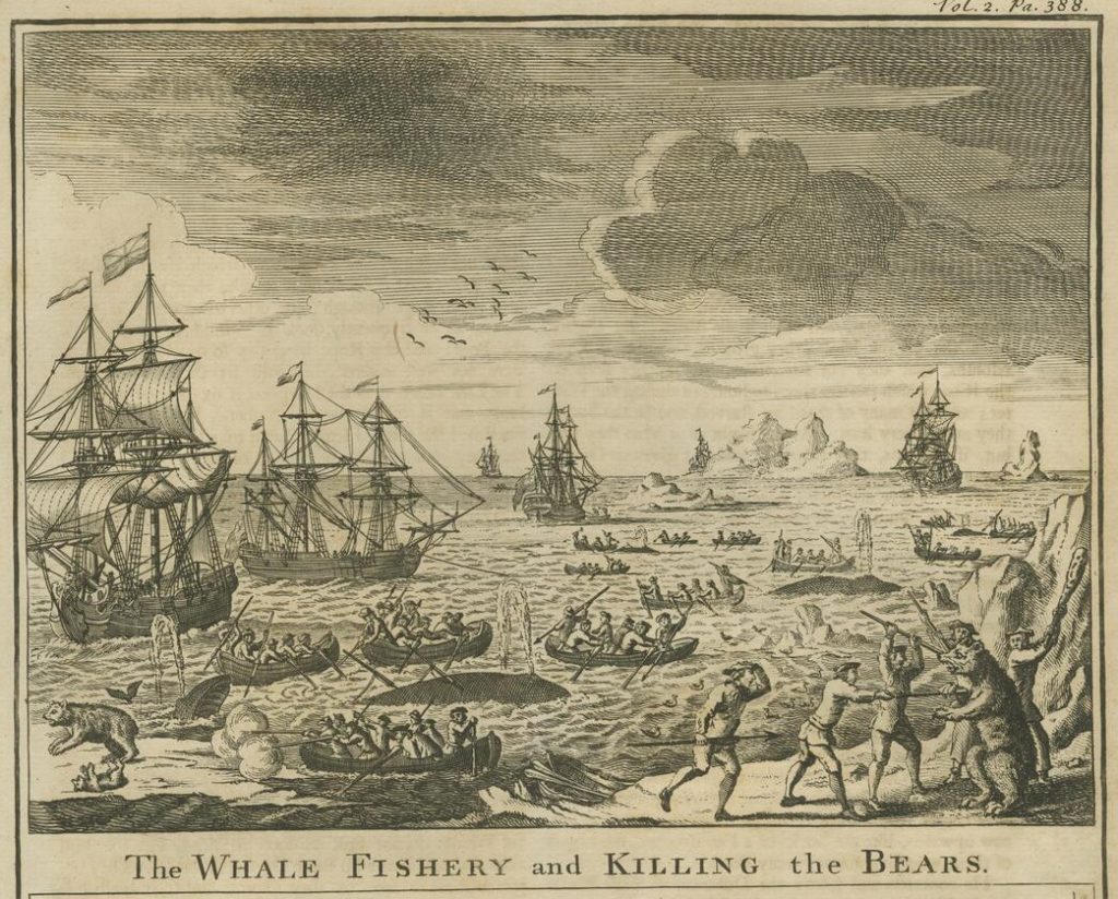 Black-and-white print of the crews of six European ships hunting whales in a bay and shooting and stabbing polar bears on land.